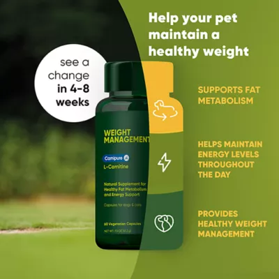 Product Rooted Owl®, Weight Management