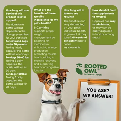 Product Rooted Owl®, Weight Management