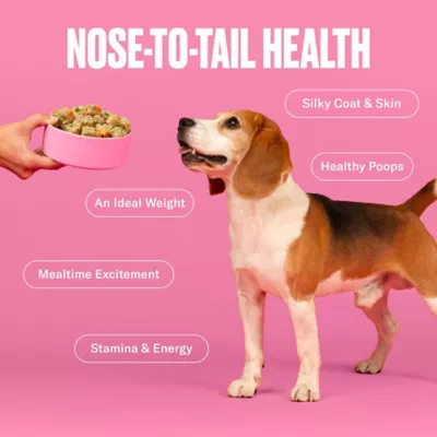 NOM NOM Scoopable Meal Clusters Adult Frozen Dog Food - Beef & Potato - Image 6