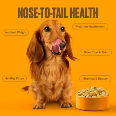 NOM NOM Scoopable Meal Clusters Adult Frozen Dog Food - Chicken & Sweet Potato - Image 6