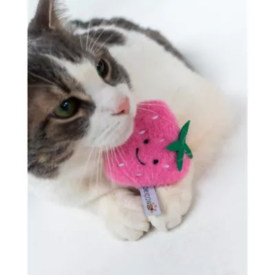 Dexypaws Cat Toy - Fruit Teaser, 2ct - Image 2