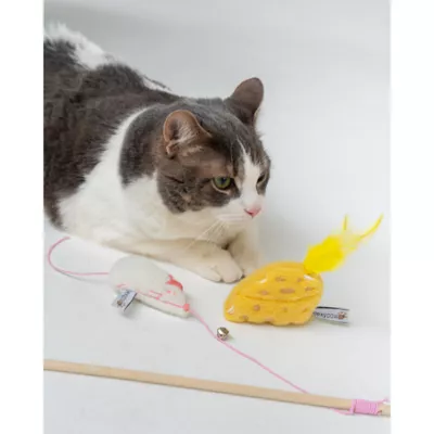 Dexypaws Cat Toy - Mouse Cheese Teaser, 2ct - Image 2