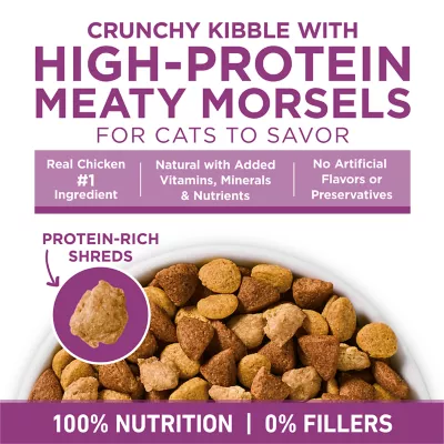 Purina® ONE® +Plus Whole Body Support Adult Cat Dry Food - Chicken - Image 7