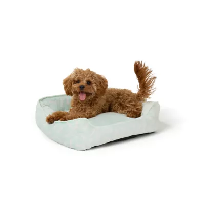 Top Paw® Bone Cuddler, Teal - Image 1