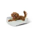 Top Paw® Bone Cuddler, Teal image thumbnail 1