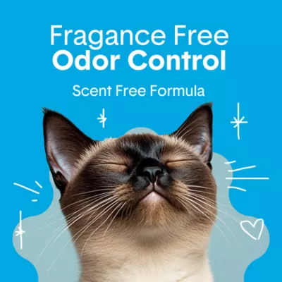 Boxiecat Scent Free Clumping Clay Cat Litter - Image 2