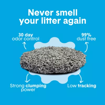 Boxiecat Scent Free Clumping Clay Cat Litter - Image 3