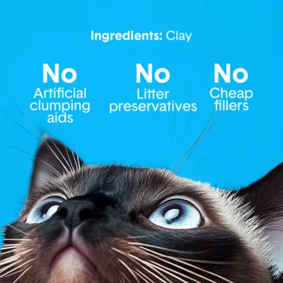 Boxiecat Scent Free Clumping Clay Cat Litter - Image 4