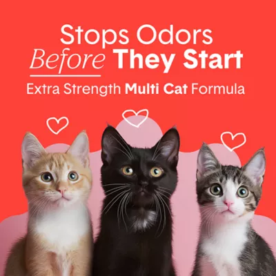 Boxiecat Extra Strength Clumping Clay Cat Litter Multi-Cat - Image 2