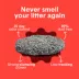 Boxiecat Extra Strength Clumping Clay Cat Litter Multi-Cat image thumbnail 3