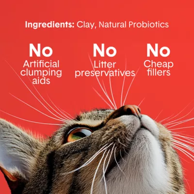 Boxiecat Extra Strength Clumping Clay Cat Litter Multi-Cat - Image 4