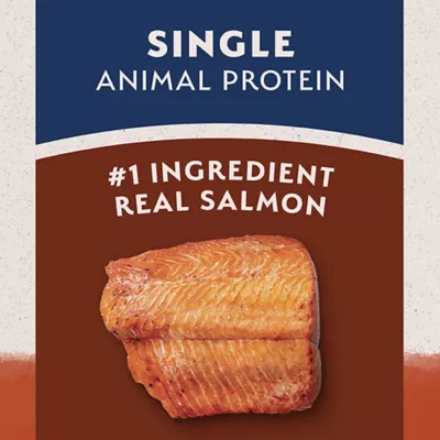 Natural Balance Limited Ingredient Grain Free Dry Dog Food, Salmon & Sweet Potato Recipe - Image 4