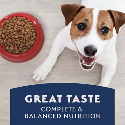 Natural Balance Limited Ingredient Grain Free Dry Dog Food, Salmon & Sweet Potato Recipe - Image 7