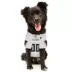 Pets First Atlanta Falcons Jersey image thumbnail 4