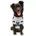 Pets First New England Patriots Road Jersey image thumbnail 3
