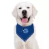 Pets First Orlando Magic Tie Around Bandana image thumbnail 3