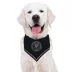 Pets First Inter Miami CF Tie Around Bandana image thumbnail 3