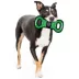 Pets First Philadelphia Union Nylon Tug Toy image thumbnail 3