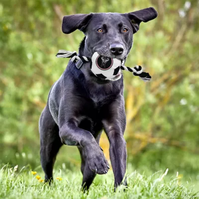 Pets First Inter Miami CF Soccer Ball Rope Toy - Image 2