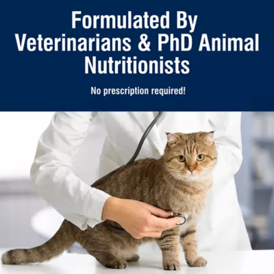 Blue BUffalo True Solutions Urinary Care Adult Cat Dry Food - Natural, Chicken - Image 8