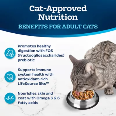 Blue Buffalo Tastefuls Adult Cat Dry Food - Gravy Experience, Chicken & Brown Rice - Image 7