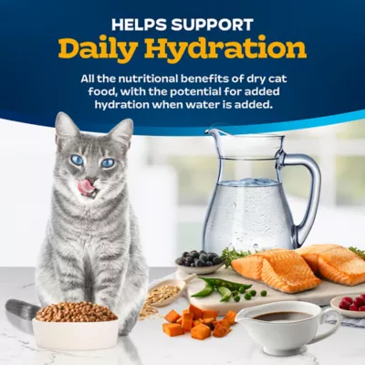 Blue Buffalo Tastefuls Adult Cat Dry Food - Gravy Experience, Salmon & Brown Rice - Image 8