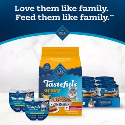 Blue Buffalo Tastefuls Adult Cat Dry Food - Gravy Experience, Salmon & Brown Rice - Image 10