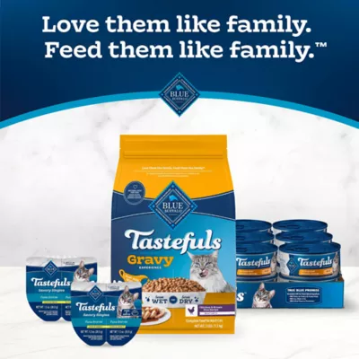 Blue Buffalo Tastefuls Adult 7+ Cat Dry Food - Gravy Experience, Chicken & Brown Rice - Image 10