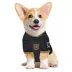 Pets First Los Angeles FC Jersey image thumbnail 5
