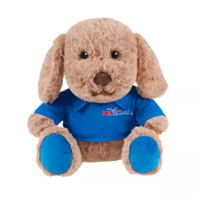 PetSmart Charities ®  Chance and Friends - Chance - Image 1