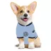 Pets First New York City FC Pet Jersey image thumbnail 4