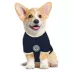 Pets First Philadelphia Union Pet Jersey image thumbnail 4