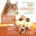 Catit Signature Chicken Recipe Freeze-Dried Raw Nutrition for Adult Cat image thumbnail 4