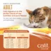 Catit Signature Chicken Recipe Freeze-Dried Raw Nutrition for Adult Cat image thumbnail 5