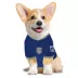 Pets First San Diego FC Pet Jersey image thumbnail 4