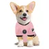 Pets First Lionel Messi Jersey image thumbnail 3