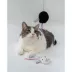 Dexypaws Cat Toy - Dice 8-Ball Teaser, 2ct image thumbnail 2