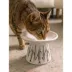 Dexypaws White Fish Print Flat Top Cat Bowl image thumbnail 2