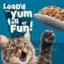 Friskies® Fully Load'd Adult Wet Cat Food - In Gravy, 5.5 Oz image thumbnail 4