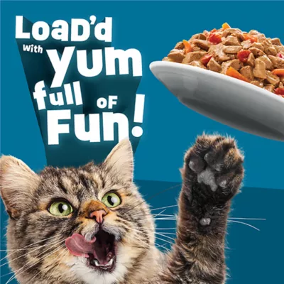 Friskies® Fully Load'd Adult Wet Cat Food - In Gravy, 5.5 Oz - Image 4