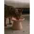 Dexypaws Pink Flat Top Cat Bowl image thumbnail 3