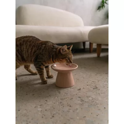 Dexypaws Pink Flat Top Cat Bowl - Image 4