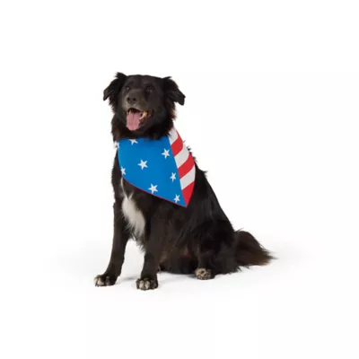 Top Paw® American Flag Bandana - Image 1