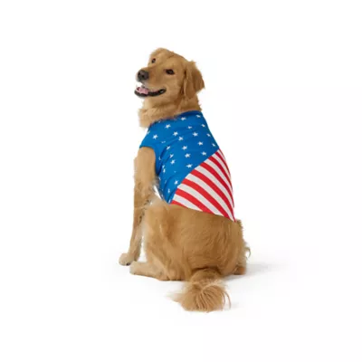 Top Paw® American Flag T-Shirt - Image 1