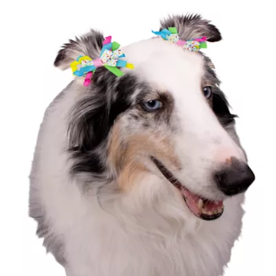 Celebrations Buttons & Bones Birthday Hair Bow Set 4 Pack - Image 3