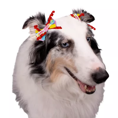 Celebrations Buttons & Bones Birthday Hair Bow Set 4 Pack - Image 4