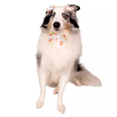 Celebrations Buttons & Bones Birthday Bows & Collar Slide Set - Image 3