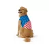 Top Paw® American Flag T-Shirt image thumbnail 1