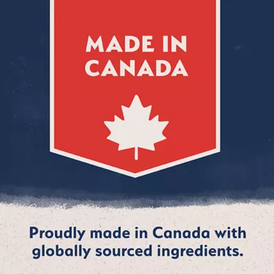 Natural Balance Limited Ingredient Grain Free Dry Dog Food, Salmon & Sweet Potato Recipe - Image 2