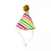 Celebrations Buttons & Bones Striped Birthday Party Hat image thumbnail 1